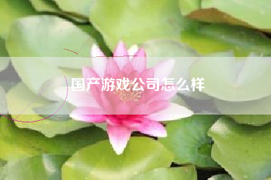 国产游戏公司怎么样