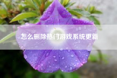 怎么删除热门游戏系统更新