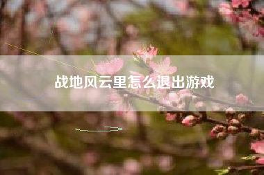 战地风云里怎么退出游戏