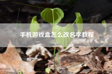 手机游戏盒怎么改名字教程