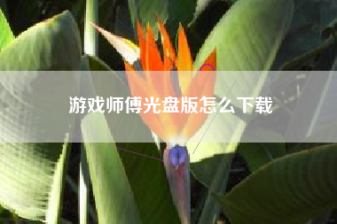 游戏师傅光盘版怎么下载
