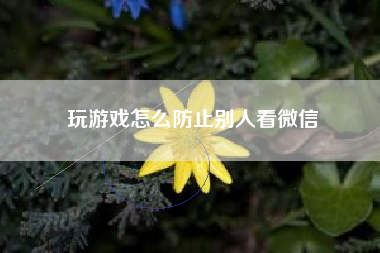玩游戏怎么防止别人看微信