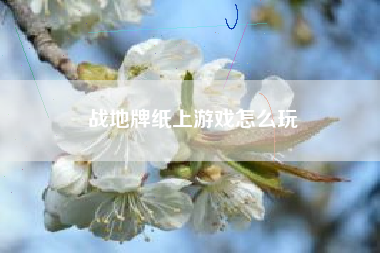 战地牌纸上游戏怎么玩