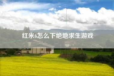 红米6怎么下绝地求生游戏