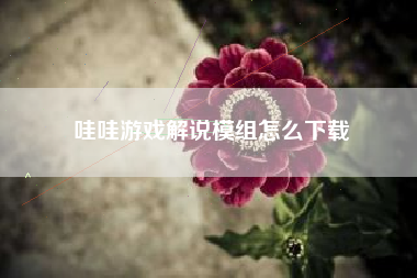 哇哇游戏解说模组怎么下载