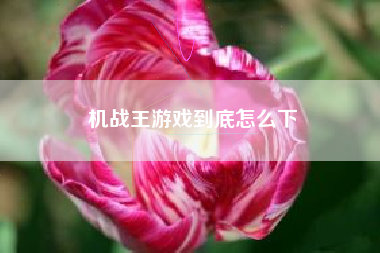 机战王游戏到底怎么下
