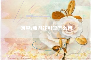 暗黑2新游戏引擎怎么用