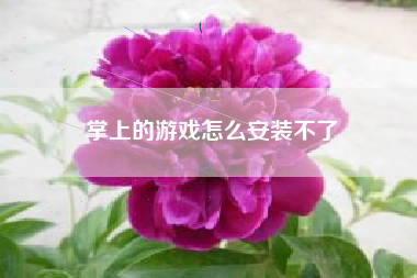 掌上的游戏怎么安装不了