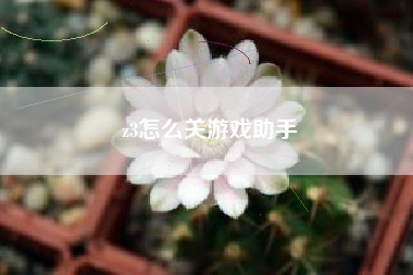 z3怎么关游戏助手