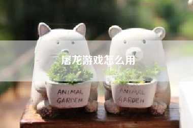 屠龙游戏怎么用