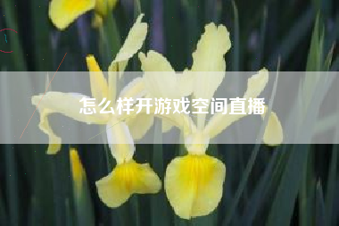 怎么样开游戏空间直播