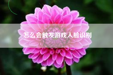 怎么会触发游戏人脸识别