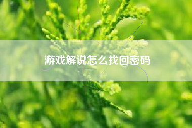 游戏解说怎么找回密码