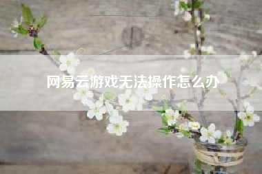 网易云游戏无法操作怎么办