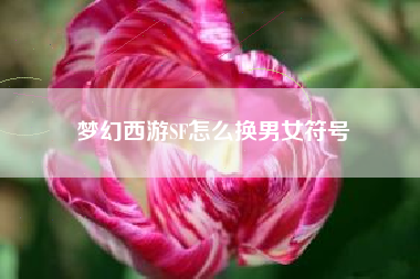 梦幻西游SF怎么换男女符号