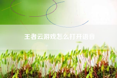王者云游戏怎么打开语音