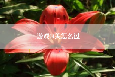 游戏14关怎么过