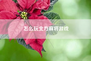 怎么玩北方麻将游戏