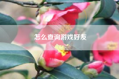 怎么查询游戏好友