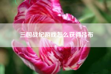 三国战纪游戏怎么获得吕布