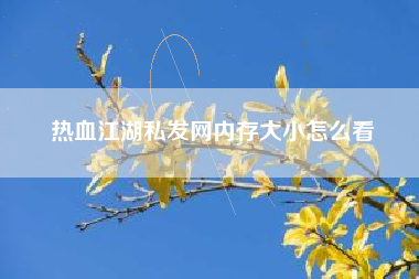 热血江湖私发网内存大小怎么看