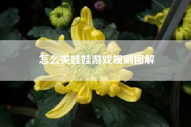 怎么夹娃娃游戏规则图解