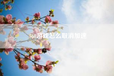 360游戏怎么取消加速