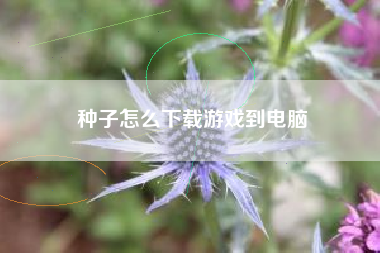 种子怎么下载游戏到电脑