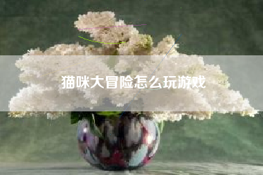 猫咪大冒险怎么玩游戏