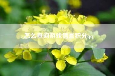 怎么查询游戏信誉积分qq