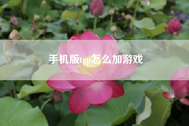 手机版tgp怎么加游戏