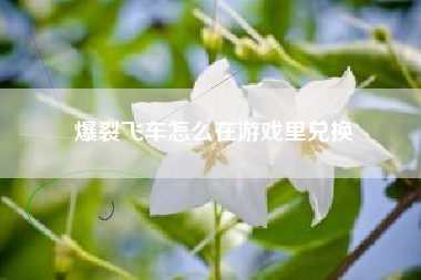 爆裂飞车怎么在游戏里兑换