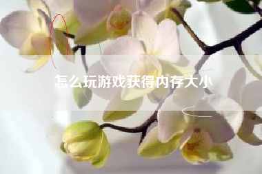 怎么玩游戏获得内存大小