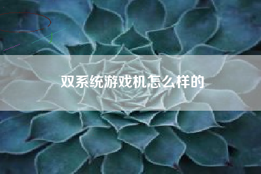 双系统游戏机怎么样的