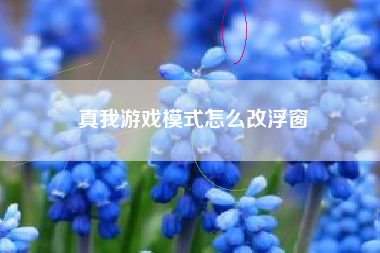 真我游戏模式怎么改浮窗