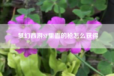 梦幻西游SF里面的枪怎么获得
