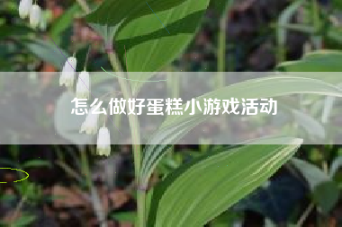 怎么做好蛋糕小游戏活动
