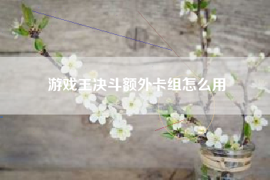 游戏王决斗额外卡组怎么用
