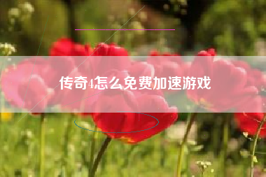 传奇4怎么免费加速游戏