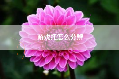 游戏托怎么分辨