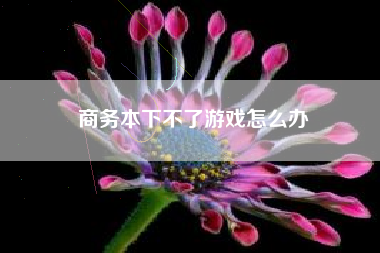 商务本下不了游戏怎么办