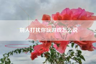 别人打扰你玩游戏怎么说