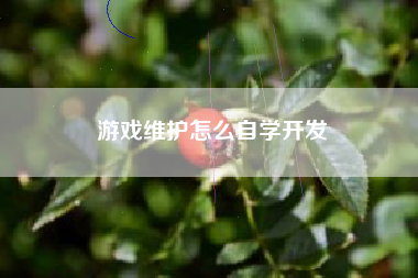 游戏维护怎么自学开发