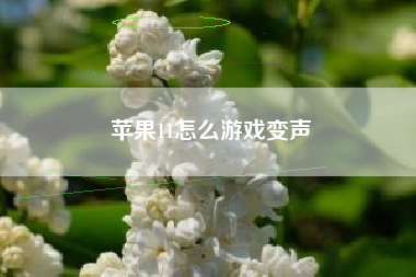 苹果11怎么游戏变声