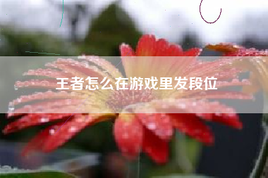 王者怎么在游戏里发段位