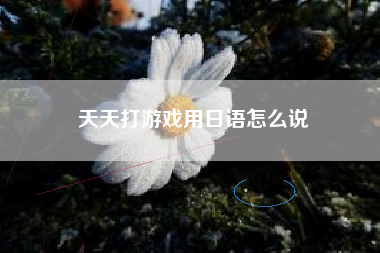 天天打游戏用日语怎么说