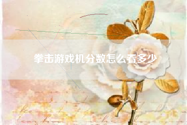 拳击游戏机分数怎么看多少