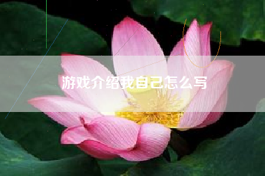 游戏介绍我自己怎么写
