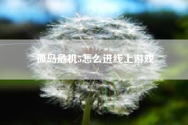 孤岛危机5怎么进线上游戏