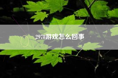 2978游戏怎么回事